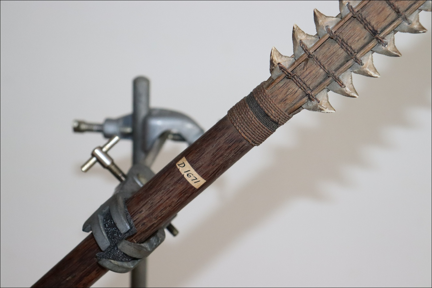 19th century Gilbert Islands Kiribati shark tooth sword, Tetoanea or Tewinnarei, Tribal Art Gallery, 19th century Polynesian art and weapons, Ethnographic antiques, artifacts and weapons, 19th century 19th century Gilbert Islands Kiribati shark tooth sword  club, 19th century Melanesian and Micronesian  art antiques and weapons, Ethnographic antiques  artifacts and weapons, 19th century 19th century Gilbert Islands Kiribati shark tooth sword war club, melanesian and micronesian antique, melanesian and micronesian artifact, 19th century 19th century Gilbert Islands Kiribati shark tooth sword Island artifact, Polynesian tribal art antiques and weapons gallery, Oceanic tribal art antiques and weapons gallery, ethnographic tribal art antiques and weapons gallery, 19ème siècle 19th century Gilbert Islands Kiribati shark tooth sword massue de guerre, looking to buy 19th century Gilbert Islands Kiribati shark tooth sword tribal antiques art and weapons, buying 19th century Gilbert Islands Kiribati shark tooth sword antiques, buying melanesian and micronesian clubs artifacts and weapons, buying 19th century Gilbert Islands Kiribati shark tooth sword antiques