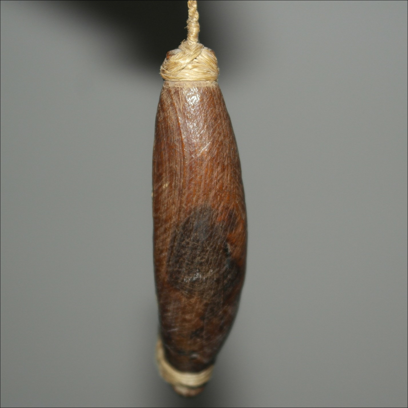 19th century Maori fishhook matau, Maori antique, Maori artifact, 19th century maori carving, 19th century Maori antique, 19th century Maori artifact, polynesian tribal art antiques and weapons gallery, oceanic tribal art antiques and weapons gallery, ethnographic tribal art antiques and weapons gallery, 19ème siècle Maoris massue de guerre, looking to buy tribal antiques art and weapons, buying Maori antiques, buying Maori clubs, artifacts and weapons, buying Maori antiques, buying Maori clubs and artifacts