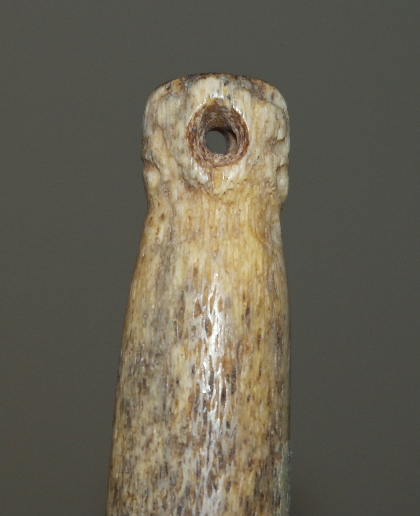19th century Maori whalebone patu tuna, 19th century Maori hand club patu, Maori whalebone club, Maori weapon, antique Maori whalebone patu paraoa, Maori artifact, Maori war club, antique Maori club, Oceanic tribal art antiques and weapons gallery, Polynesian tribal art antiques and weapons gallery, ethnographic tribal art antiques and weapons gallery, Maori war club, 19ème siècle Maoris massue de guerre, looking to buy tribal antiques art and weapons, buying Maori antiques, buying Maori clubs and artifacts