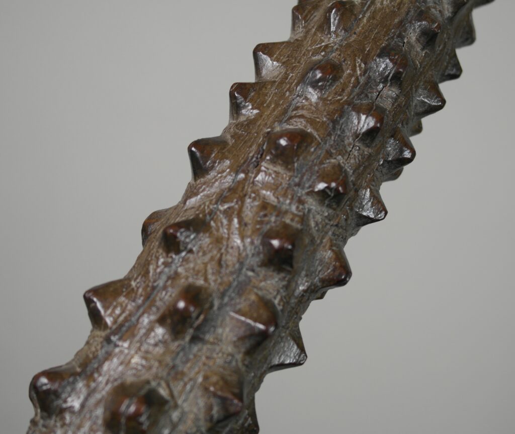 19th century Fijian Wawa Votovotoa club, 19th century Fijian war club, Polynesian tribal art antiques and weapons gallery, 19ème siècle Fidji massue de guerre