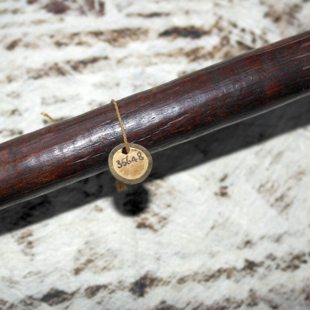 19th century Australian Aboriginal club, aboriginal weapon, antique aboriginal club Oldman Collection, Australian Aboriginal artifact, aboriginal war club