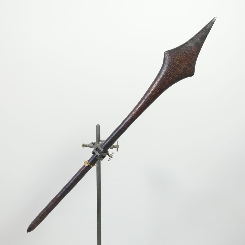 19th century Australian Aboriginal club, aboriginal weapon, antique aboriginal club Oldman Collection, Australian Aboriginal artifact, aboriginal war club