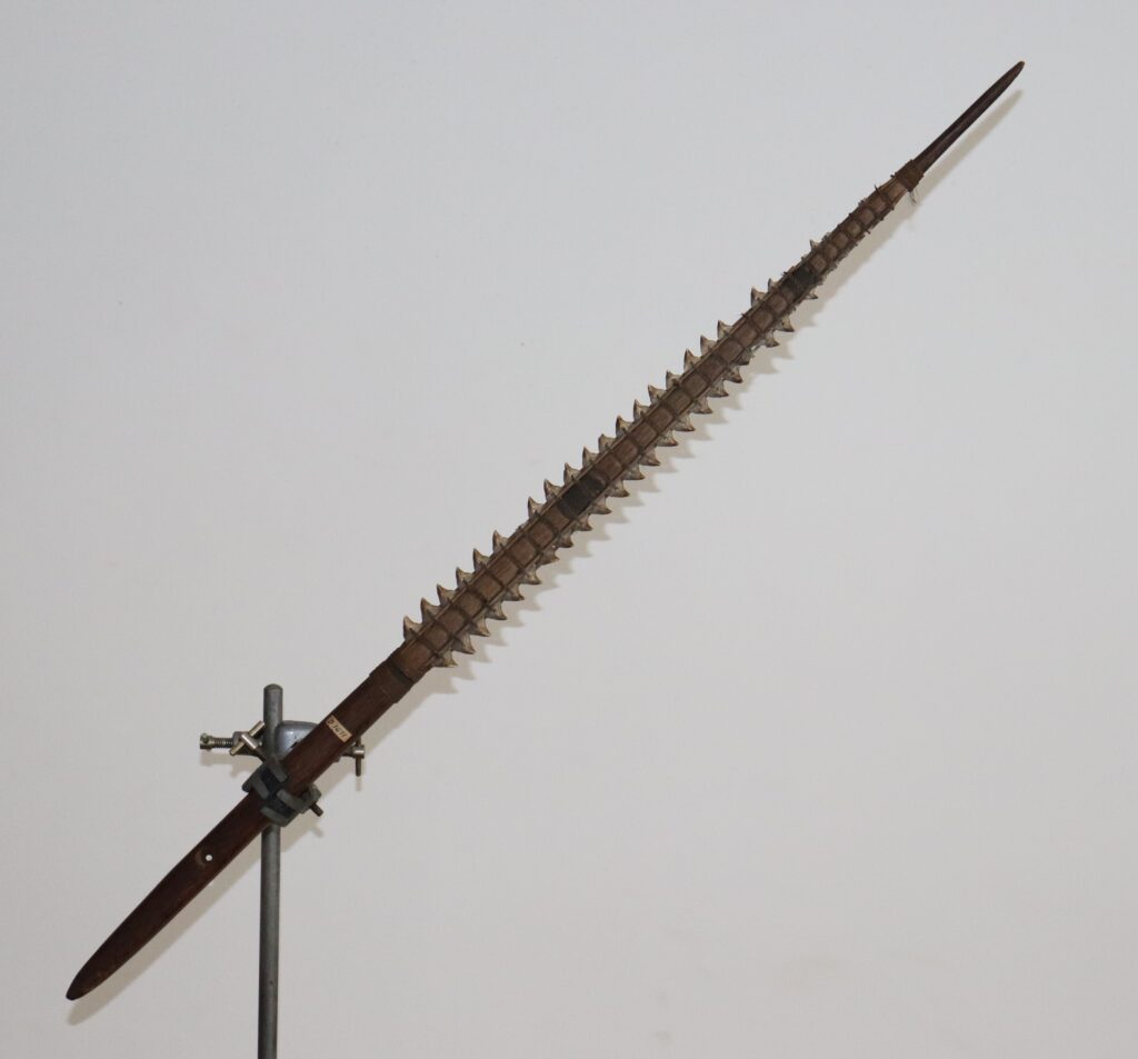19th century Gilbert Island Kiribati shark tooth sword, Tetoanea or Tewinnarei, 19th century Polynesian art antiques and weapons gallery, 19ème siècle 19th century Gilbert Islands Kiribati shark tooth sword massue de guerre