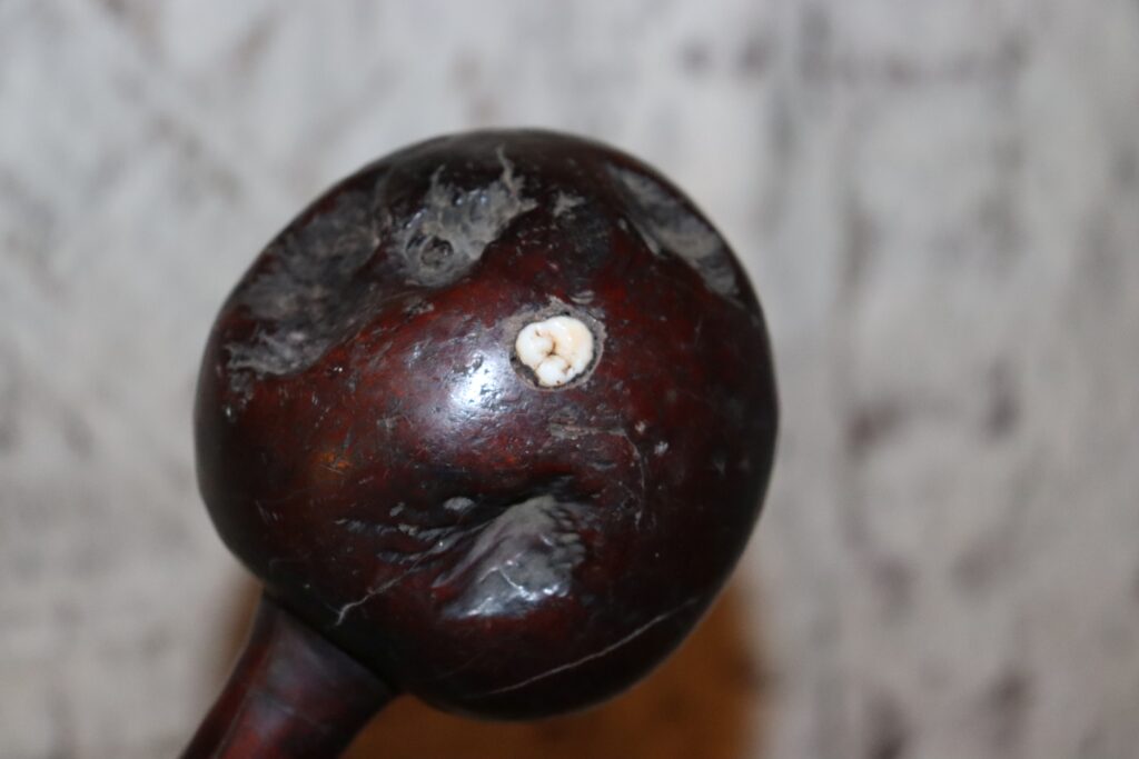 Early 19th century Fijian ula throwing club with a single human tooth inset and tavatava carving to the handle. This club has three suspension holes to the handle all of which have broken through.