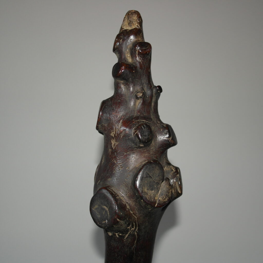 19th century Fijian vunikau club, 19th century Fijian war club, Fijian tribal art antiques and weapons gallery, 19ème siècle Fidji massue de guerre