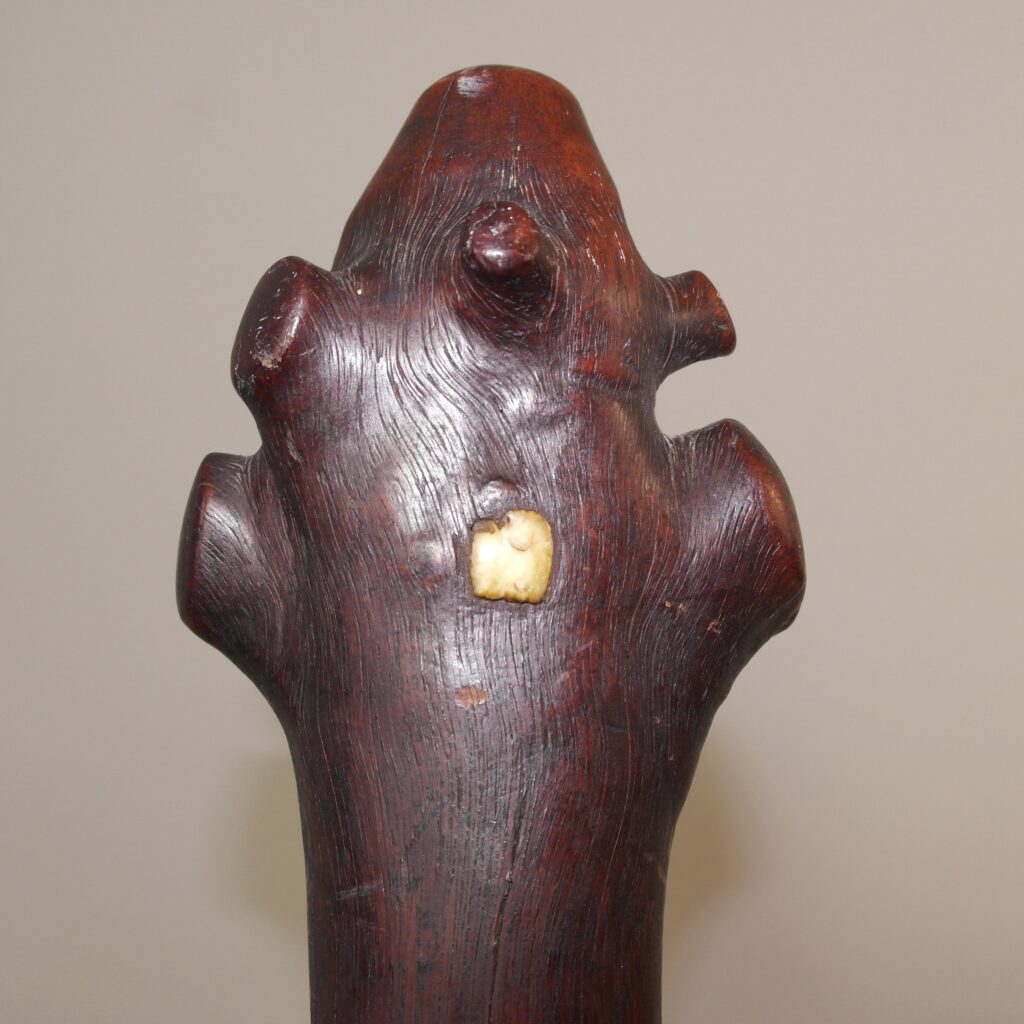 19th century Fijian vunikau club, 19th century Fijian war club, Fijian tribal art antiques and weapons gallery, 19ème siècle Fidji massue de guerre