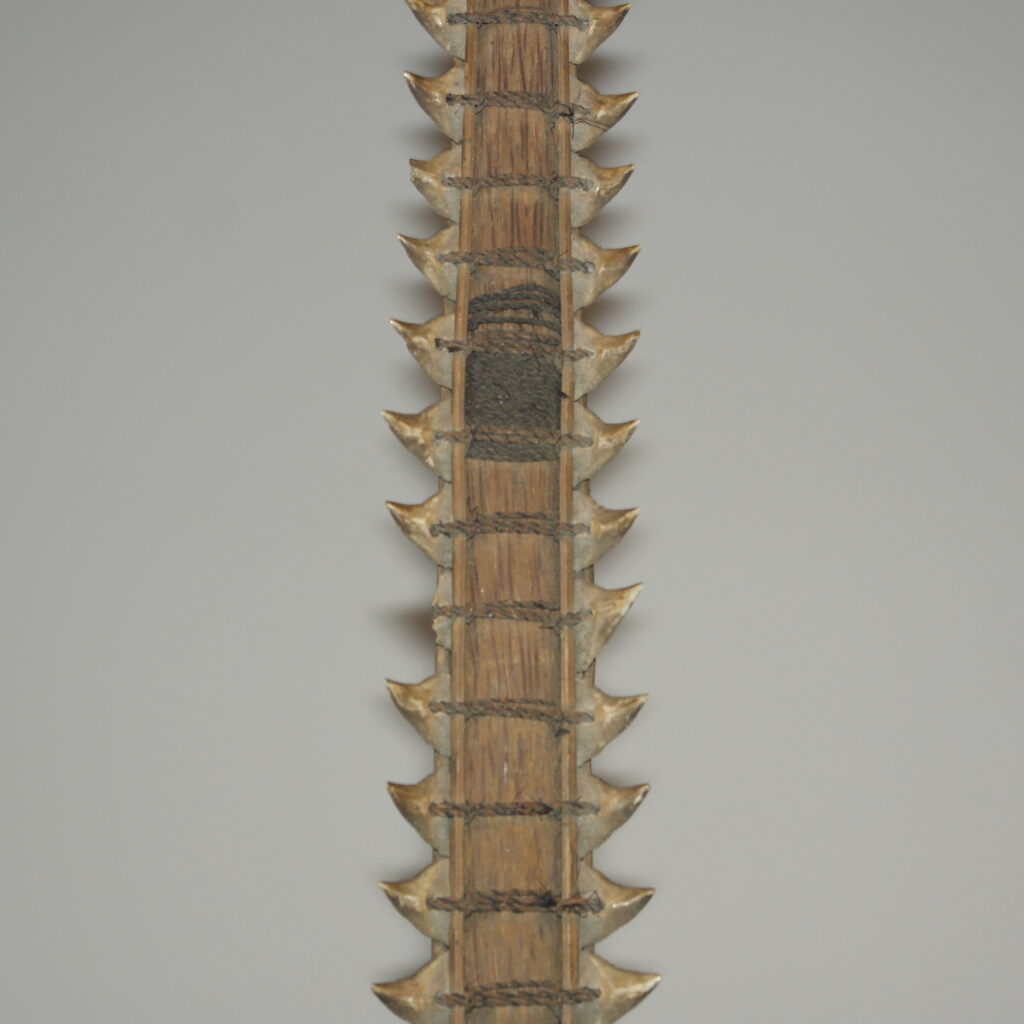 19th century Gilbert Island Kiribati shark tooth sword, Tetoanea or Tewinnarei, 19th century Polynesian art antiques and weapons gallery, 19ème siècle 19th century Gilbert Islands Kiribati shark tooth sword massue de guerre