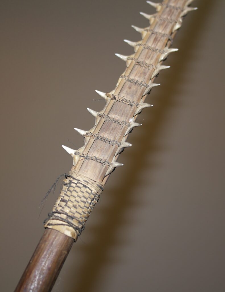 19th century Gilbert Island Kiribati shark tooth sword, Tetoanea or Tewinnarei, 19th century Polynesian art antiques and weapons gallery, 19ème siècle 19th century Gilbert Islands Kiribati shark tooth sword massue de guerre