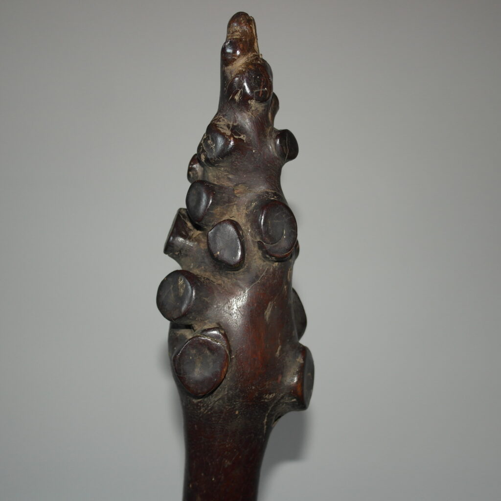 19th century Fijian vunikau club, 19th century Fijian war club, Fijian tribal art antiques and weapons gallery, 19ème siècle Fidji massue de guerre