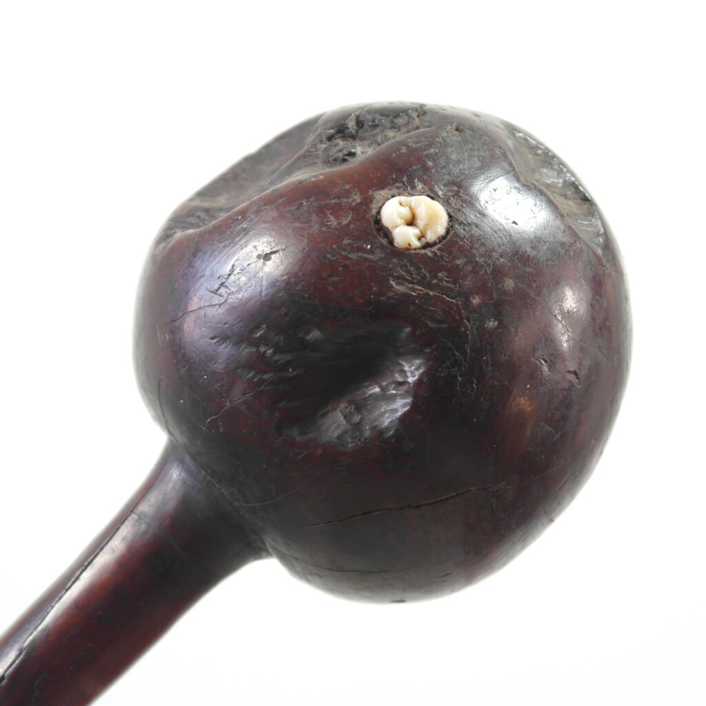 Early 19th century Fijian ula throwing club with a single human tooth inset and tavatava carving to the handle. This club has three suspension holes to the handle all of which have broken through.